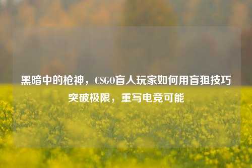 黑暗中的枪神,CSGO盲人玩家如何用盲狙技巧突破极限,重写电竞可能