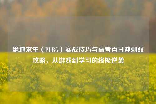 绝地求生(PUBG)实战技巧与高考百日冲刺双攻略,从游戏到学习的终极逆袭