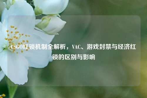 CSGO红锁机制全解析,VAC、游戏封禁与经济红锁的区别与影响