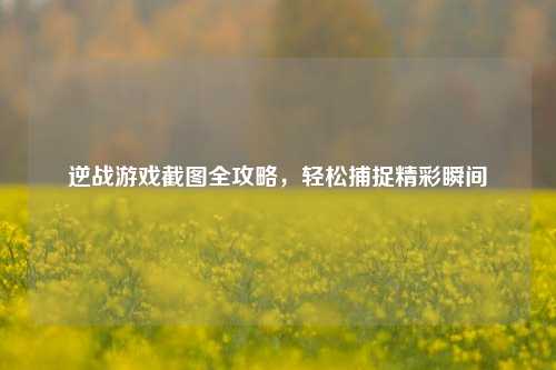 逆战游戏截图全攻略,轻松捕捉精彩瞬间