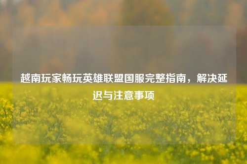 越南玩家畅玩英雄联盟国服完整指南,解决延迟与注意事项