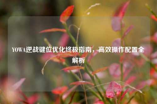 YOWA逆战键位优化终极指南,高效操作配置全解析