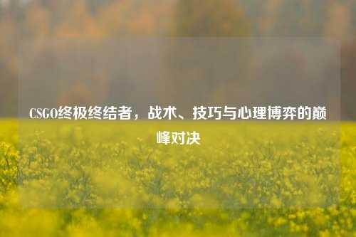 CSGO终极终结者,战术、技巧与心理博弈的巅峰对决