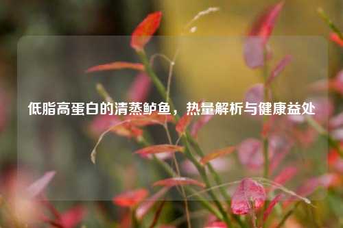 低脂高蛋白的清蒸鲈鱼,热量解析与健康益处