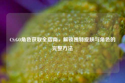 CS:GO角色获取全指南,解锁独特皮肤与角色的完整方法