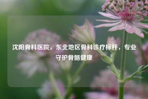 沈阳骨科医院,东北地区骨科诊疗标杆,专业守护骨骼健康